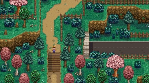 Десять модов на Stardew Valley для опытных игроков